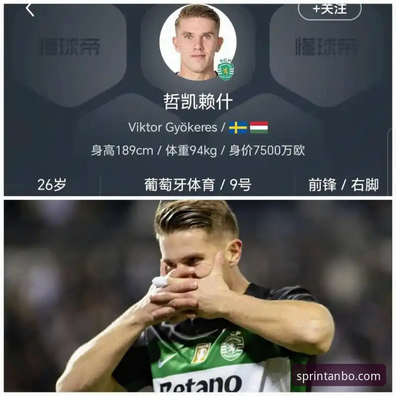 哲凯赖什首秀赛季20球成就详解